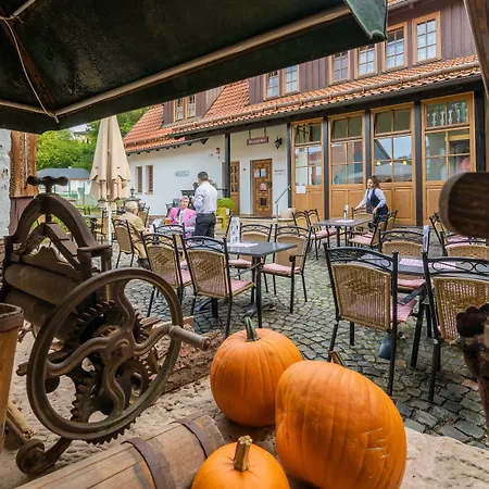 Goldener Hirsch Gasthof 4*