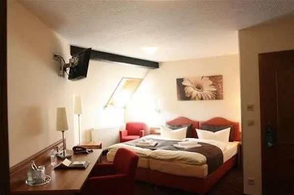 Goldener Hirsch Penzion