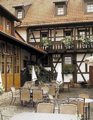 Goldener Hirsch Penzion 4*